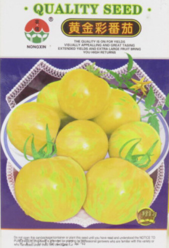 Middle Yellow Tomato with Light Yellow Stripe Organic Seeds, 1 Original Pack, 300 Seeds / Pack, Indoor Outdoor Available #NF628