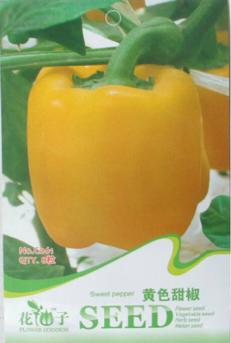 Golden Yellow Sweet Bell Pepper Seeds, Original Pack, 8 Seeds / Pack, Super Giant Organic Carlifornia Wonder Pepper #C061