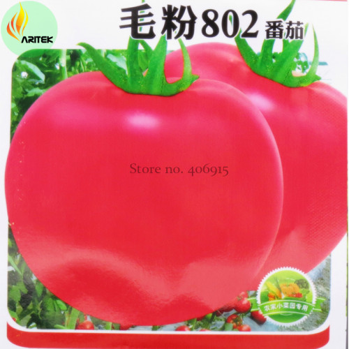Rare Heirloom 'Mao Fen 802' Pink Big Tomato Organic Seeds, 300 Seeds, Original Pack, tasty edible indeterminated fruit OJK017Y