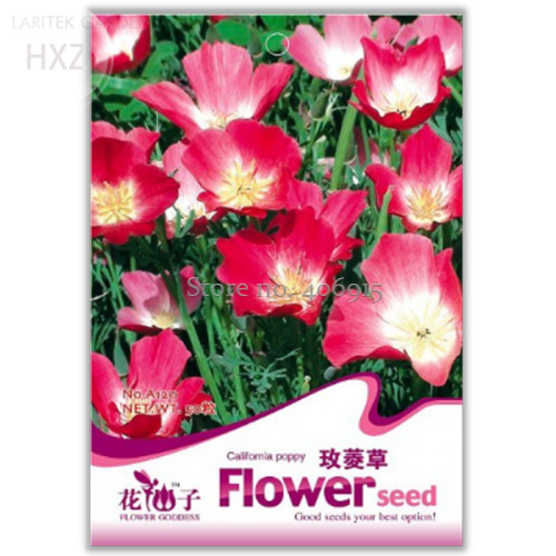 Beautiful California Poppy Flowers Seeds, 50 seeds, cold-resistant perennial garden flower california poppy seeds A120