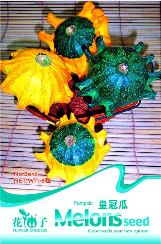 'Imperial Crown' Pumpkin Ornamental Squash Seeds, Original Pack, 8 Seeds / Pack B016