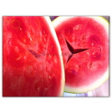 Heirloom Yellow Skin Red Seedless Watermelon Fruit Seeds, Simple Pack, 10 Seeds, small-sized sweet 12% sugar contained E3542