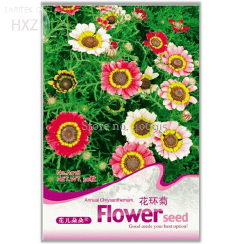 Garland Chrysanthemum Seeds, Original Pack, 30 seeds, pyrenthrum painted daisy chrysanthemum carinatum flower A018