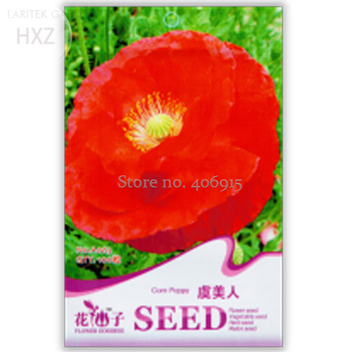 Poppy Flower Coquelicot Flower Seeds, Original Pack, 100 seeds, large red flowers light up your garden A063