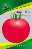 BELLFARM (for greenhouse) High Yield Tomato Big Pink Red Hybrid Seeds, 10 grams or 5 grams /original pack great for garden