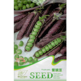 BELLFARM Purple Sweet Pea Broad Bean Green Soy Bean Brownbean Bonsai Vegetables Landscaping Seeds