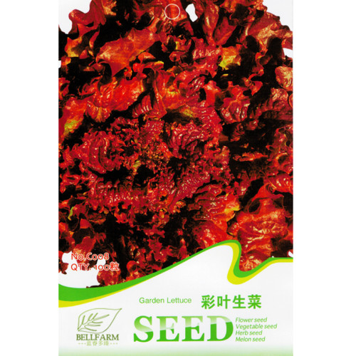 BELLFARM 6 Types Of Lettuce Purple Red Green Vegetables Seeds, Original Package
