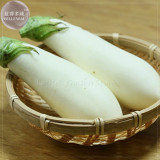 Asian White Eggplant Seeds, 100 Seeds, Professional Pack, big organic vegetables E4082