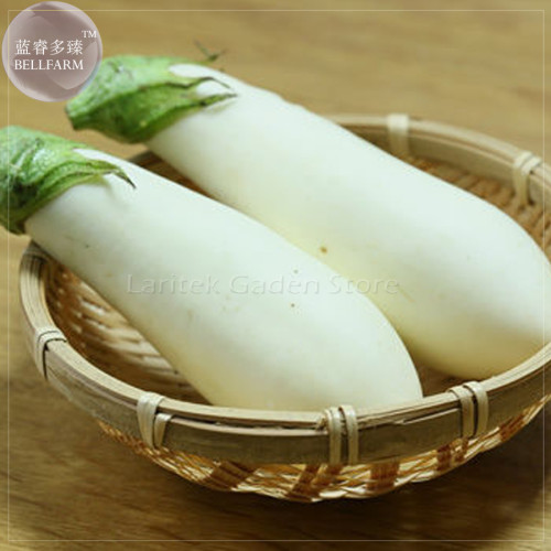 Asian White Eggplant Seeds, 100 Seeds, Professional Pack, big organic vegetables E4082