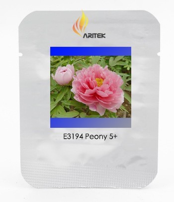 Heirloom 'Pink Butterfly' Fragrant Tree Peony Flower Seeds, Professional Pack, 5 Seeds / Pack, Attracting Bees, Butterfly E3194