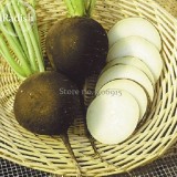 Heirloom Rare Black Small Fruit Radish with White meat, 100 seeds, delicious healthy edible turnip vegetables E3593