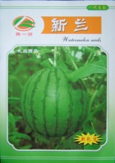 Rare Hanging Green Very Sweet Water Melon F1 Seeds, Original Pack, 10g Seeds / Pack, High Yield High Quality Juicy Melon E3002