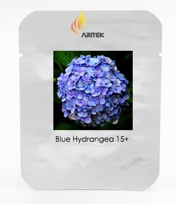 Blue Hydrangea Paniculata Grandiflora, Professional Pack, 15 Seeds / Pack, Rare Big Flowers #E3486