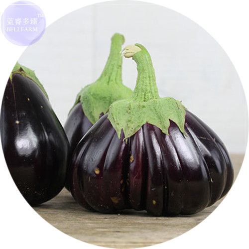 BELLFARM Rarest Heirloom 'Emperor' Black Pear Eggplant Vegetable Seeds, 100 Seeds, Healthy Edible Vegetables E3268