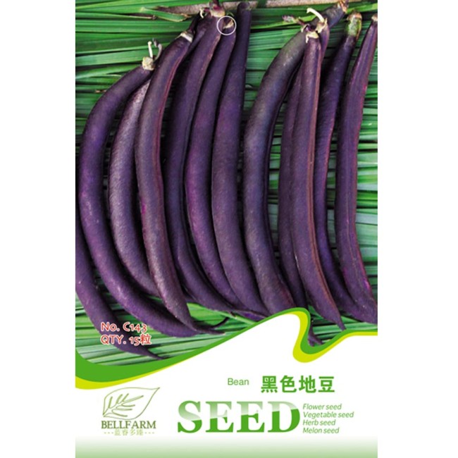BELLFARM Black Garden Bean Phaseolus vulgaris Hybrid Vegetable Bonsai, 15pcsseeds, heirloom tasty snap bean garden plants