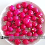 Heirloom Red Cherry Radish Vegetable Seeds, Professional Pack, 150 Seeds / Pack, Organic Chinese Vegetables E3382