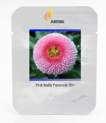 Pink Little Daisy Flower Seeds, Professional Pack, 30 Seeds / Pack, Fragrant Bellis Perennis Hybrid Seeds E3246