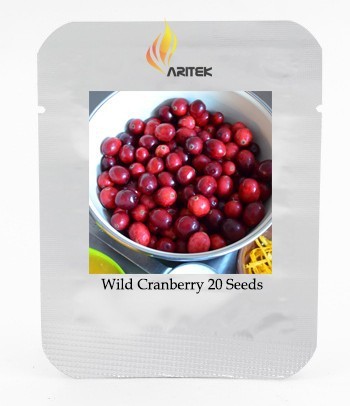 Wild Cranberry Vaccinium Macrocarpon Bearberry Fruit Seeds, Professional Pack, 20 Seeds / Pack, Tasty Great Garden Plant Fruits