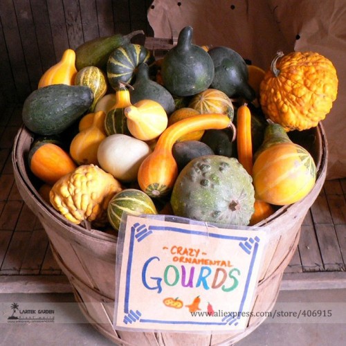 Ornamental Gourds 'Small Mixed' Lagenaria Siceraria Seeds, Professional Pack, 10 Seeds / Pack E3330