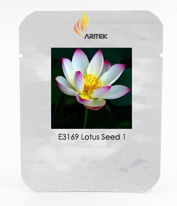 New Wild White Red Lotus Flower Seeds, Professional Pack, 1 Seed / Pack, E-Z to Grow Perennial Pond Plant E3169