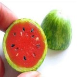 the Rarest Red Mini Thumb Watermelon Seeds, Professional Pack, 20 Seeds / Pack, 15% Sugar Sweet Fruit E3015