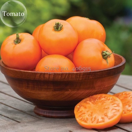 100% Rare Edible Light Orange Big Juicy Tomato, 100 seeds, green healthy nutritious vegetables E3588