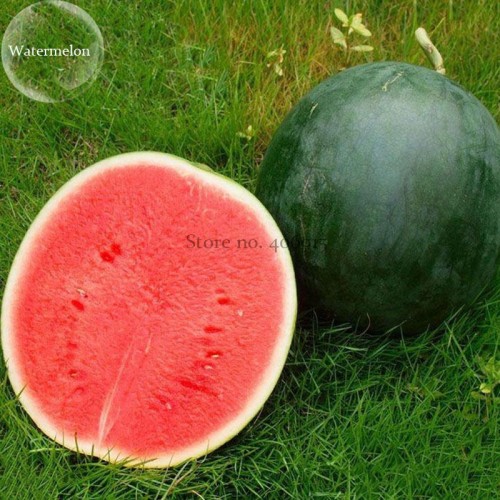 Dark Green Seedless Watermelon Red Inside Fruits, 5 seeds, sweet juicy tasty easy growing E3760