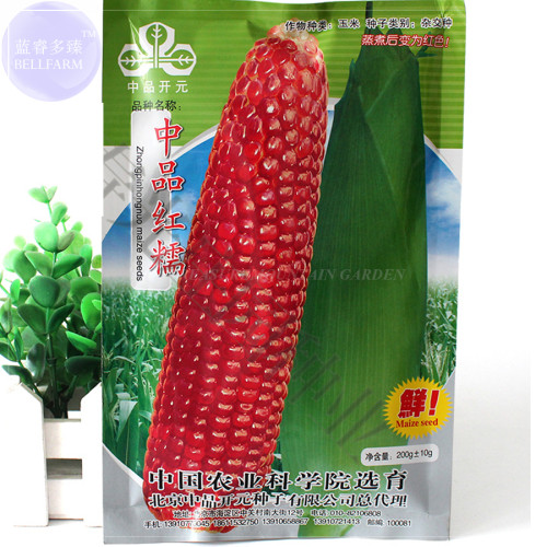 BELLFARM 'Zhongpinhongnuo' Red Maize Corn Seeds, approx 200 grams Seeds, original pack, tasty glutinous corn BD100H