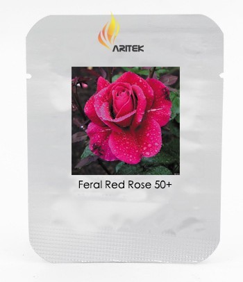 Large Feral Red Rose Flower Seeds, Professional Pack, 50 Seeds / Pack, Rare Uncultivated Fragrant Rose #LG00032