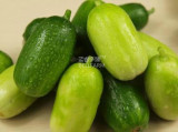 BELLFARM Miniature Dark Green (Light Green) Fruit Cucumber Seeds, 100 seeds, original pack, sweet fragrant crisp high yield