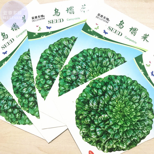 BELLFARM Wuta-tsai Brassica campestris Black Cabbage Vegetable Seeds, 5 packs, 100 seeds/pack, orgainic tasty Chinese vegetables
