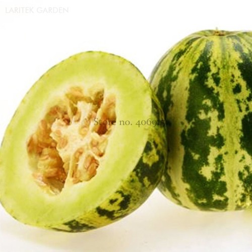 Green Muskmelon Sweet Melon, 20 Seeds, Spotted and Striped Cucumis Melo Sweet Fruit  E3772