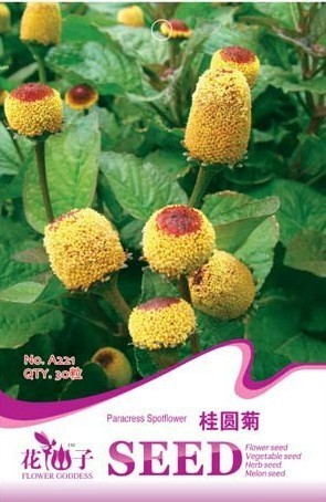 10 Professional Pack, 30 Seeds/Pack, Rare Spilanthes Oleracea Seeds + Mysteriousn Gift
