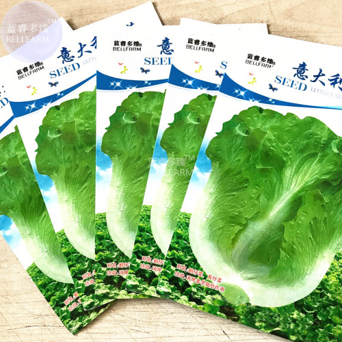 BELLFARM Italy Lettuce Organic Green Vegetable Seeds, 5 packs, 80 seeds/pack, der salat Chinese leaves home garden