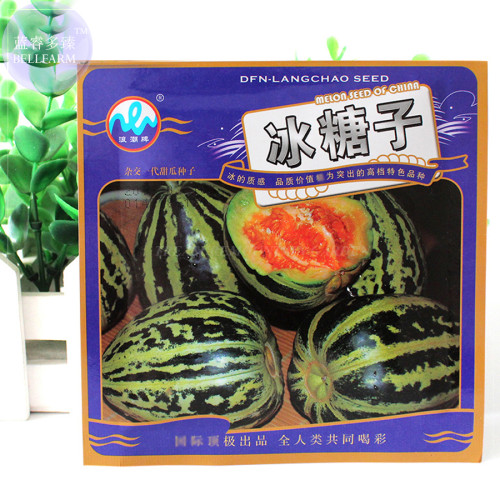 BELLFARM 'Bing Tangzi' Sweet Melon Muskmelon Seeds, approx 10 grams, original pack, hybrid orange meat high-yield BD098H