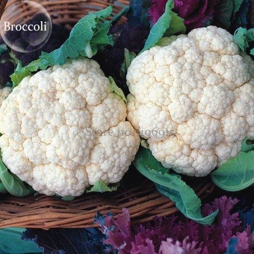 Heirloom Natural Health White Broccoli Cauliflower, 50 seeds, rich nutrition tasty good compact vegetales E3589
