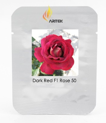 Large Dark Red F1 Rose Flower Seeds, Professional Pack, 50 Seeds / Pack, Strong Fragrant Flower #LG00030