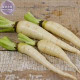 BELLFARM Carrot  White Lunar Carrot Seeds, 15 Seeds, Original Pack, organic heirloom vegetable Seeds BD073H