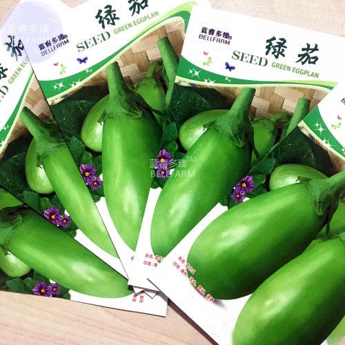 BELLFARM Eggplant Little Green Vegetable Seeds, 5 packs, 60 seeds/pack, organic tasty home garden brinjaul