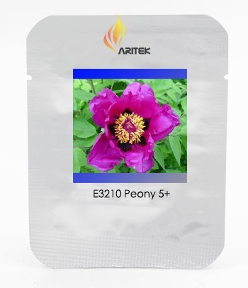 Heirloom 'Zi Die Ying Feng' Dark Purple with Black Spot Peony Flower Seeds, Professional Pack, 5 Seeds / Pack, Strong Fragrant