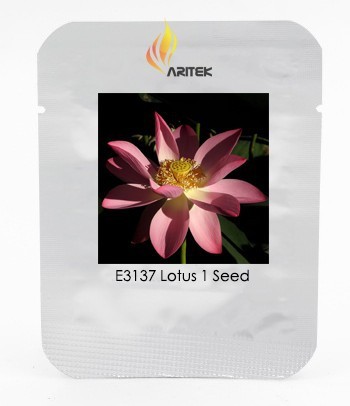 New Rare Blood Red Indonesia Lotus Flower Seeds, Professional Pack, 1 Seed / Pack, Cool Nelumbo Nucifera E3137