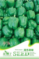 Big Green Sweet Bell Pepper Seeds, Original Pack, 8 Seeds / Pack, Heirloom Organic Vegetables #C064