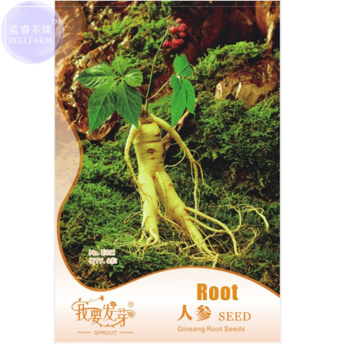 BELLFARM Ginseng Organic Herbs Seeds, 6 seeds, Original pack, tasty edible Chinese herbs BD108H