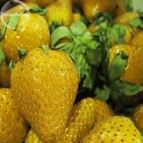 Mixed 9 Types of Strawberry Fruit, 100 seeds, red yellow light blue black green purple white colors E3785