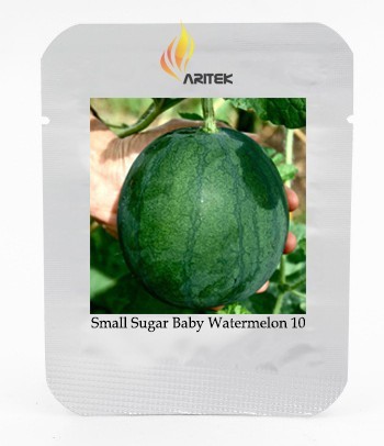 Organic Heirloom Small Sugar Baby Watermelon Citrullus Lanatus Seeds, Professional Pack, 10 Seeds / Pack Juicy Sweet E3340