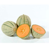 BELLFARM Sweet Melon Canteloupe Retato Delgi Fruit Seeds, 20 seeds, sweet tasty juicy heirloom fruits