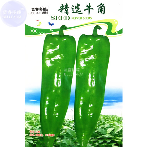 BELLFARM 'Cow-horn' Large Long Cayenne Pepper Vegetable Seeds, 30 seeds, original pack, hot green organic pepper