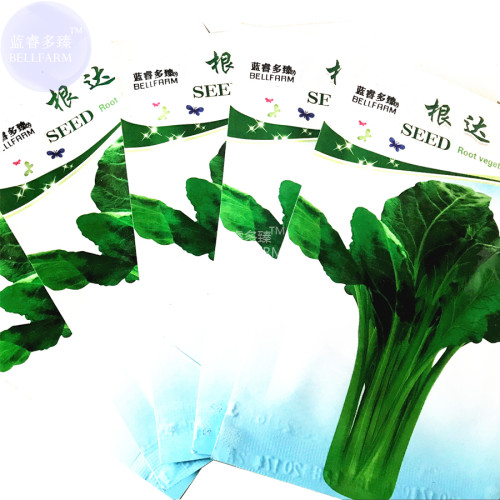 BELLFARM Beta Vulgaris Beets Green Chinese Vegetable Seeds, 5 packs, 50 seeds/pack, organic sea kale beet chard