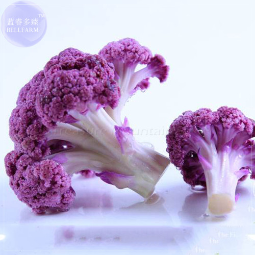 (for greenhouse) BELLFARM Purple Crystal Cauliflower Vegetable Hybrid Seeds, 1000 Seeds, Original Pack, rare broccoli BD076H