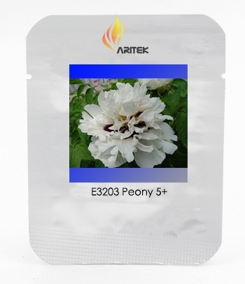 Rare Heirloom 'Xue Shan Jin Ding' White Black White Black Peony Tree Flower Seeds, Professional Pack, 5 Seeds / Pack, Light Fragrant Flowers